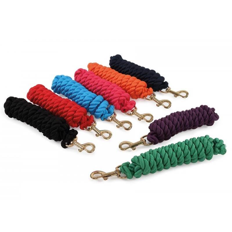 Nine Shires Wessex Lead Ropes, 1.8m with brass clips, arranged side by side.