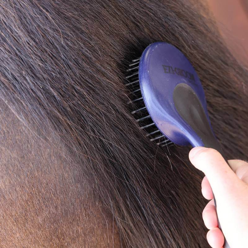 A hand brushes a horse’s mane with an Ezi-Groom Shires Grip Mane & Tail Brush in navy.