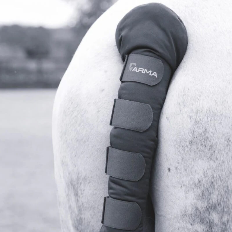 Shires Arma Padded Tail Guard by Shires on a white horse's tail for padded protection.