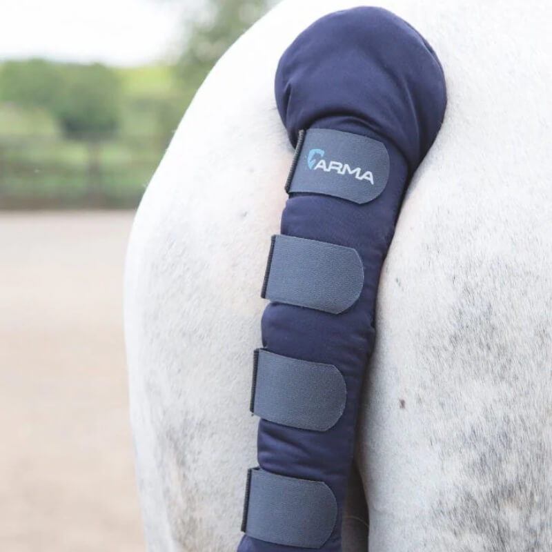 The Shires Arma Padded Tail Guard is strapped onto a horse’s tail outdoors.