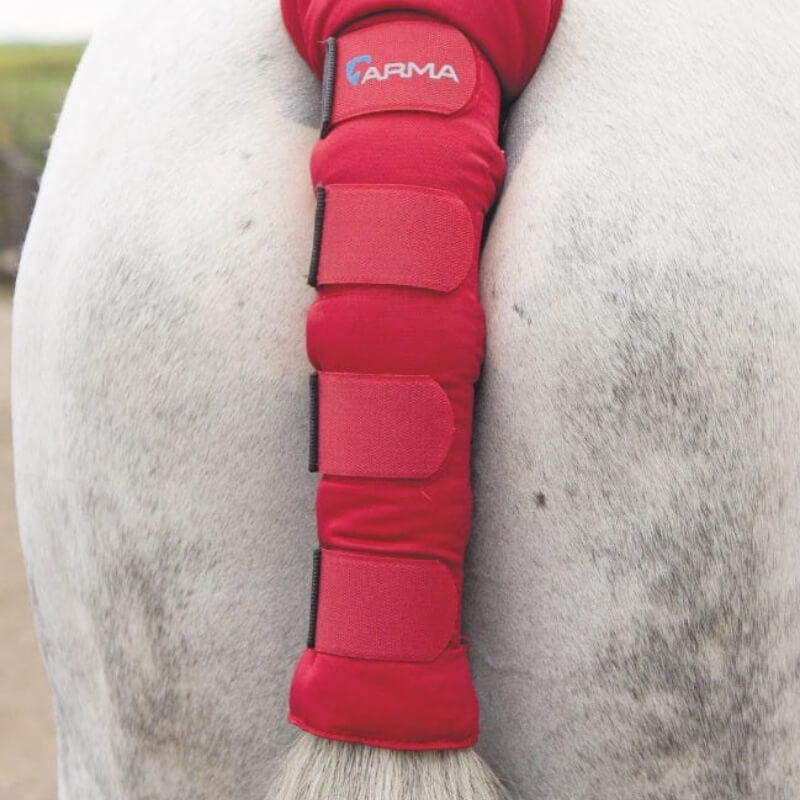 Shires Arma Padded Tail Guard: a padded tail protector with Velcro straps in red.