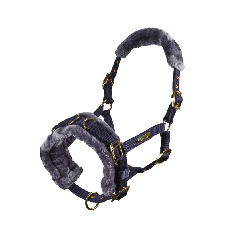 Shires ARMA Fleece Lined Lunge Cavesson in navy with grey fleece padding and gold buckles.