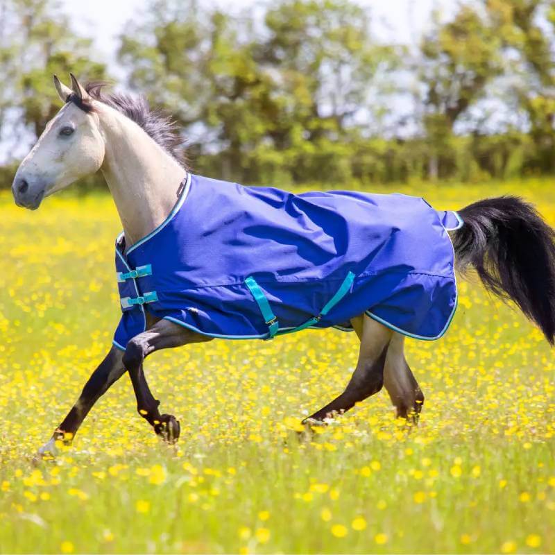 A horse in a Tempest Shires Tempest Original 100 Navy rug runs through a grassy, flowery field.
