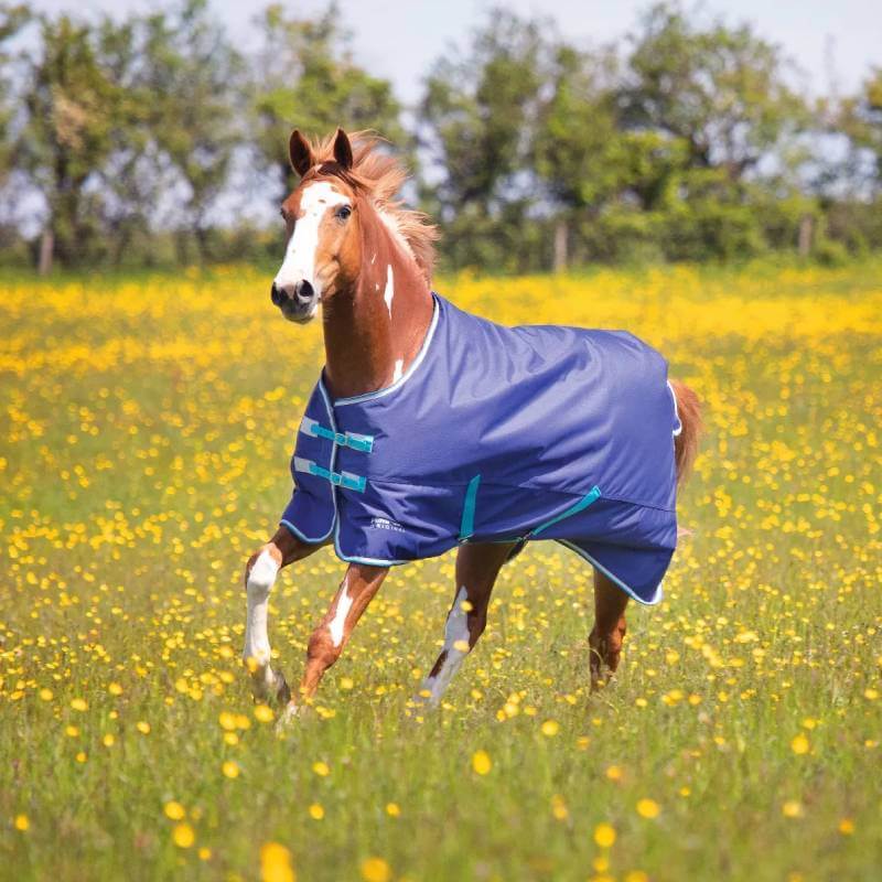A horse in a Tempest Shires Tempest Original 100 Turnout Rug Navy runs through yellow wildflowers.