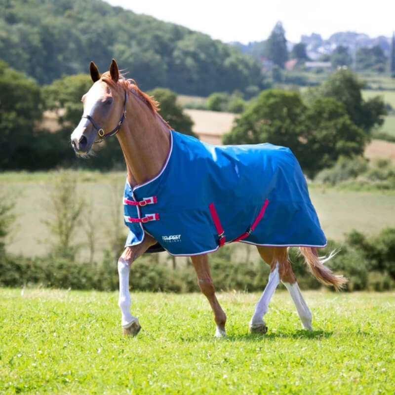 A horse in a Shires Tempest Original Lite Turnout Rug Teal stands on grass with trees behind.