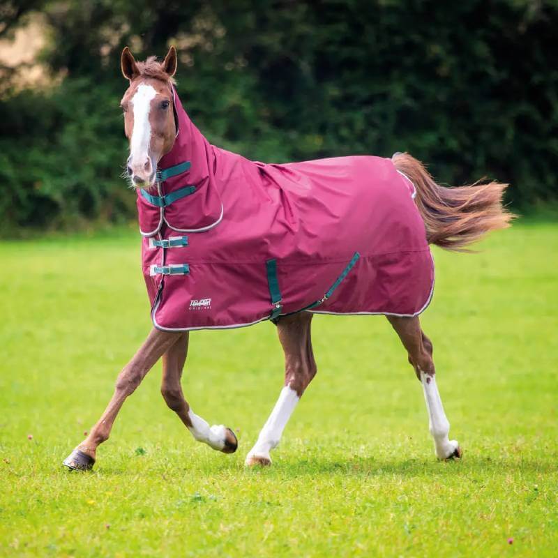 A horse in a maroon Tempest turnout rug trots on grass with trees in the background.