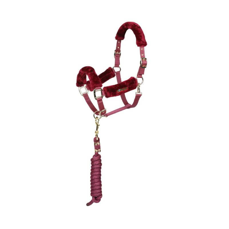 Arma Faux Fur Headcollar &amp; Lead Rope Burgundy by Arma, shown on a white background.