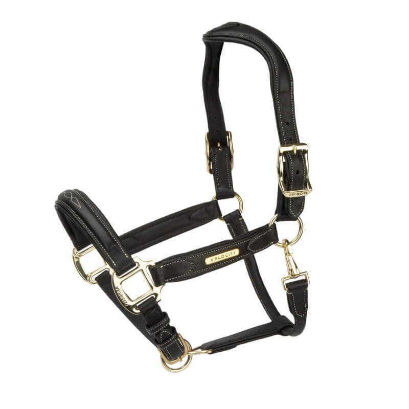 Shires Rapida Comfort Leather Headcollar in black with gold buckles and stitching.
