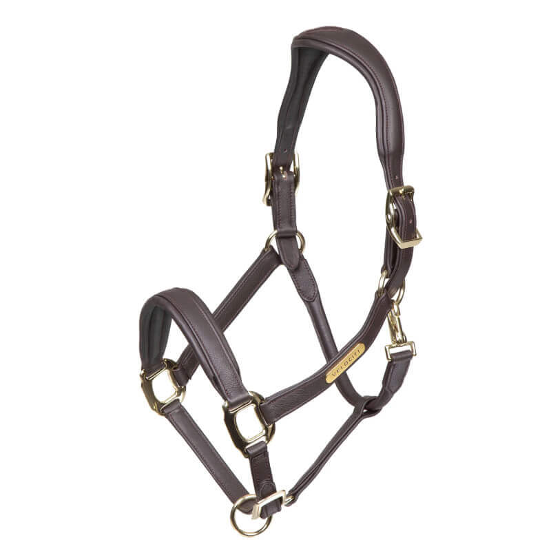 Shires Rapida Comfort Leather Headcollar Havana with gold-tone hardware and padded headpiece.