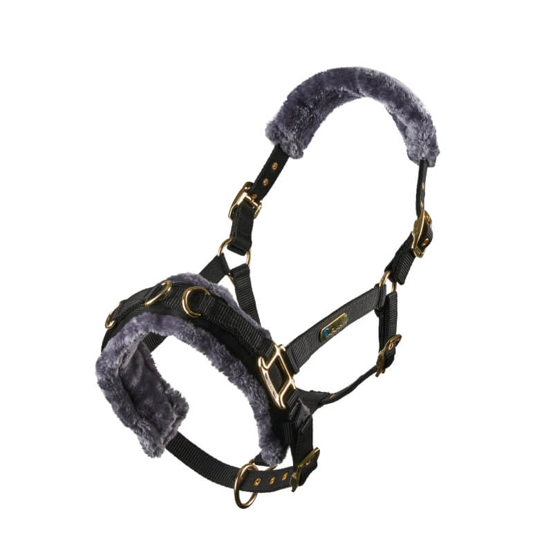 Shires ARMA Fleece Lined Lunge Cavesson Black—adjustable, grey fleece-padded, gold buckles.