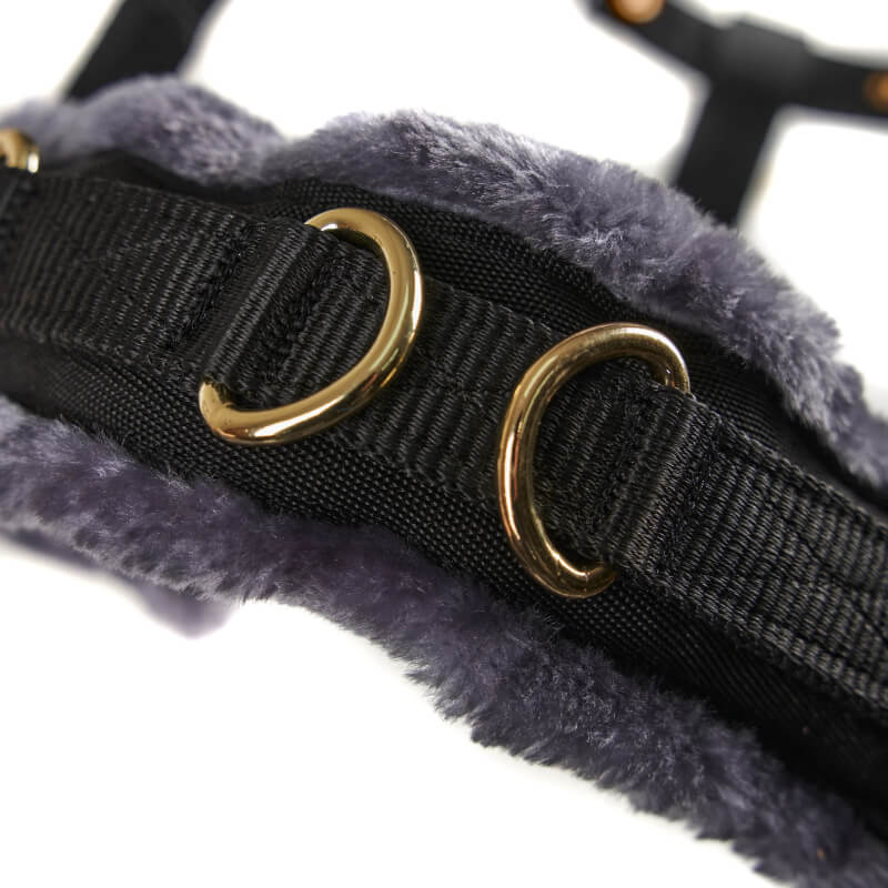 Shires ARMA fleece lined lunge cavesson in black with gold D-rings for horse training.