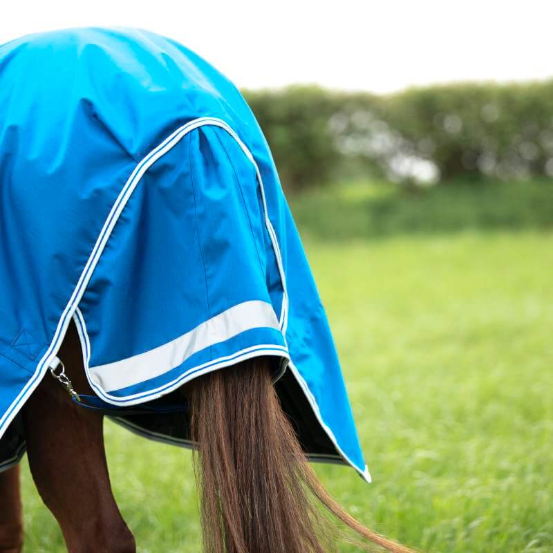 A horse wearing a Shires Highlander Original 200g Combo Turnout Rug stands on grass.