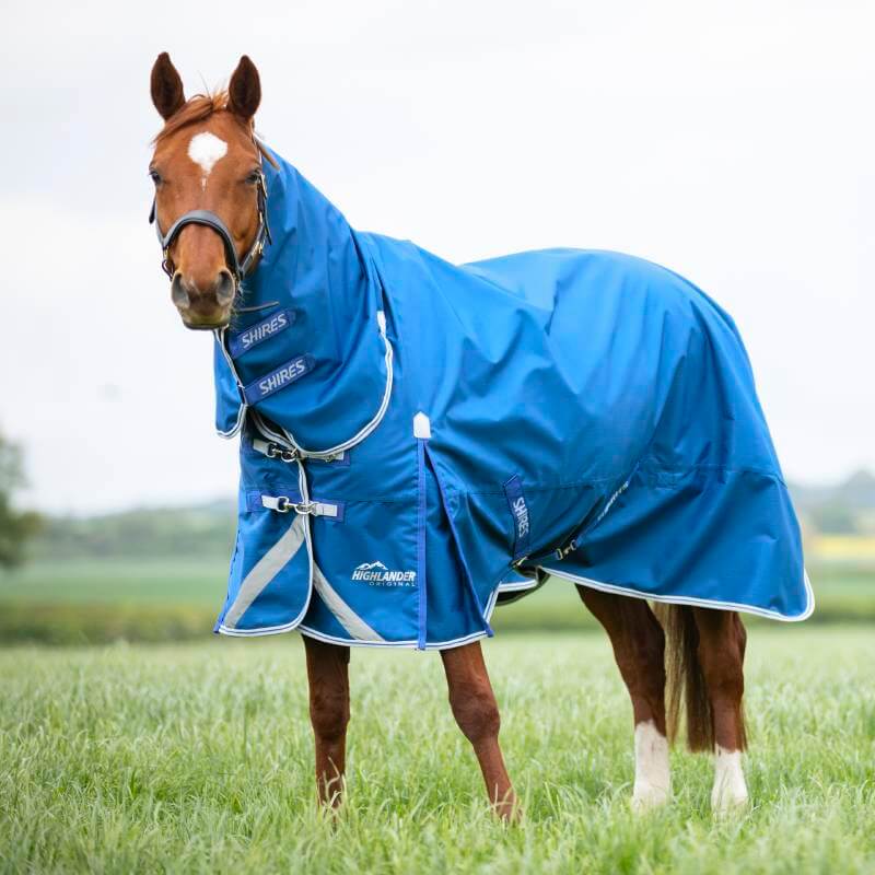 Chestnut horse in a Shires Highlander 200g Combo Neck Turnout Rug stands on green grass.