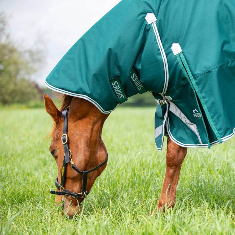 Chestnut horse in a Shires Highlander 300g Combo Turnout Rug grazing in a grassy field.