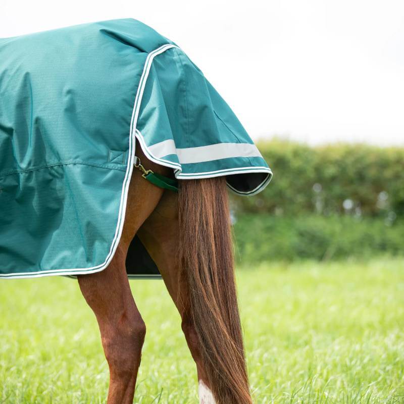 A horse in a Shires Highlander 300g green turnout rug stands on grass, back half visible.