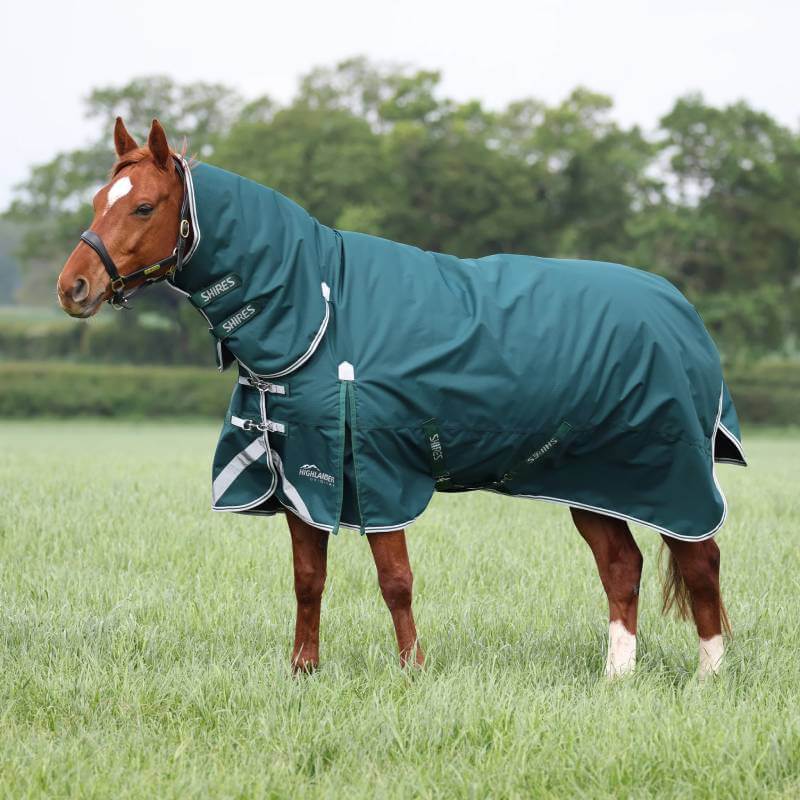 A horse in a Shires Highlander 300g green turnout rug stands in a grassy field.