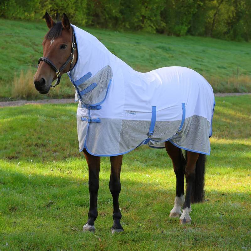 A horse in a Shires Tempest Original Fly Mesh Combo Rug stands on grass for fly protection.