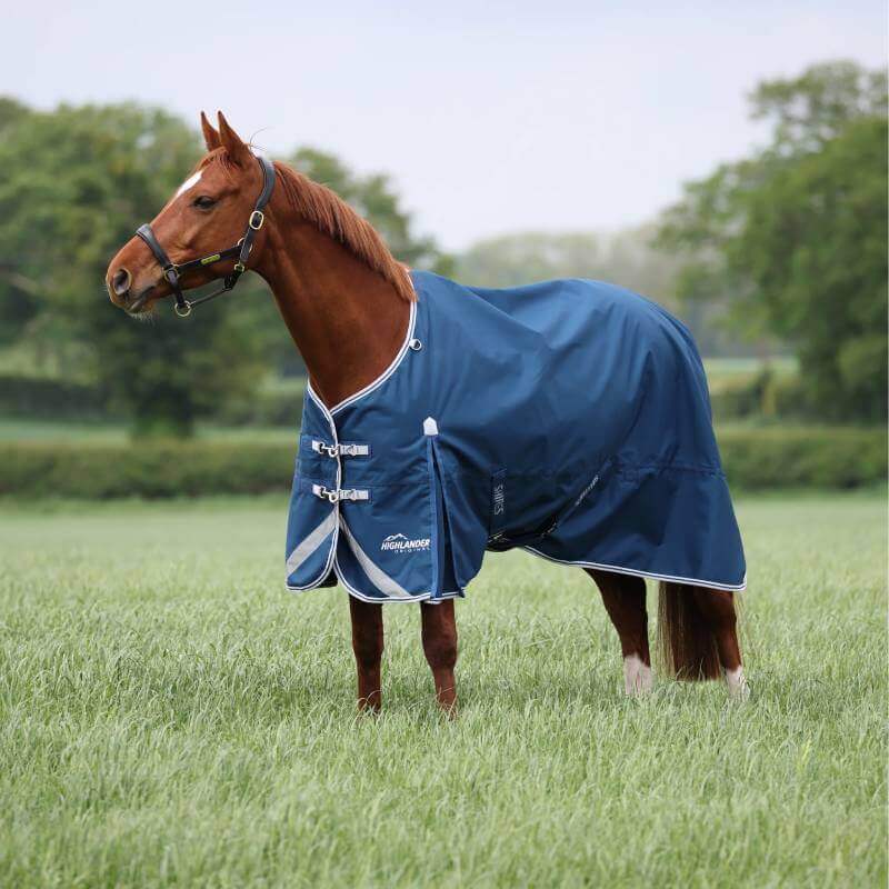 Chestnut horse in a Shires Highlander Ocean turnout rug stands in a grassy field with trees.