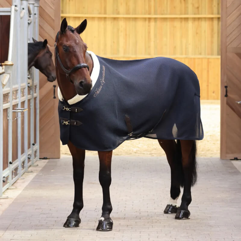 Bay horse in a Shires Deluxe Air Motion Cooler Navy by Shires, standing in a stable doorway.