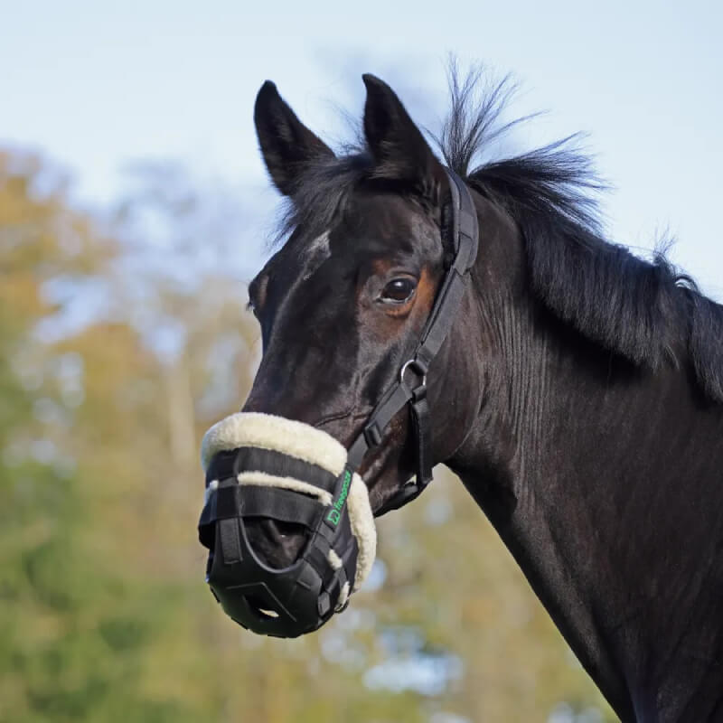 A black horse wears the Shires FreeGraze AirFlow Grazing Muzzle outdoors with a blurred background.