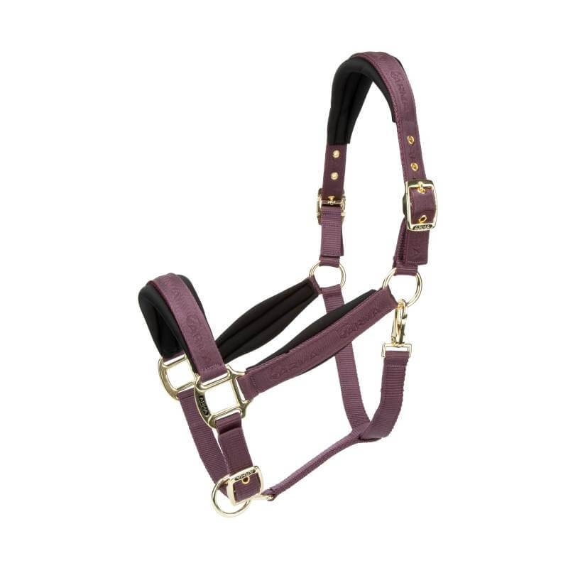 Shires Arma Padded Headcollar Black Cherry with gold buckles and neoprene padding shown on white.