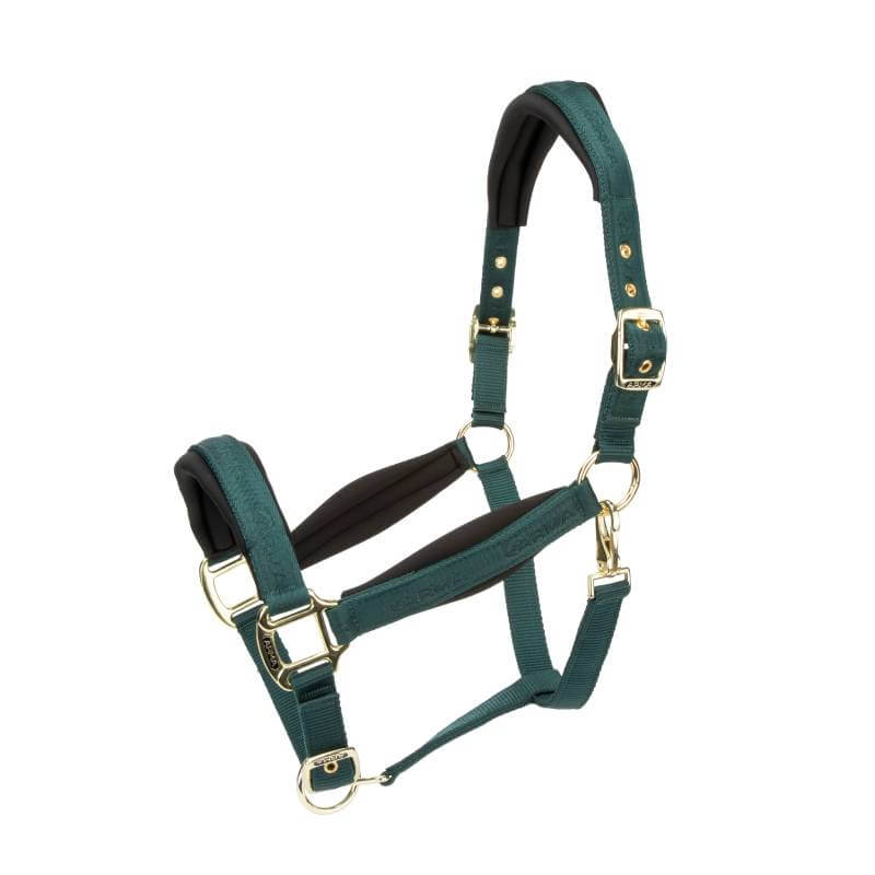 Shires Arma Padded Headcollar Green with gold hardware and black soft padding.
