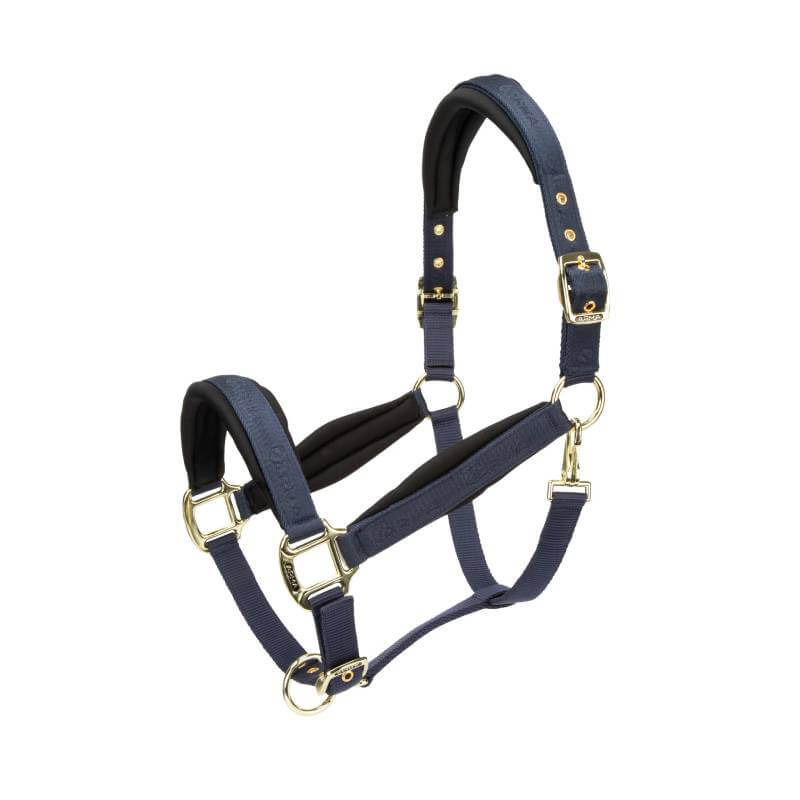 Shires Arma Padded Headcollar Navy with gold fittings, from Shires, on a white background.
