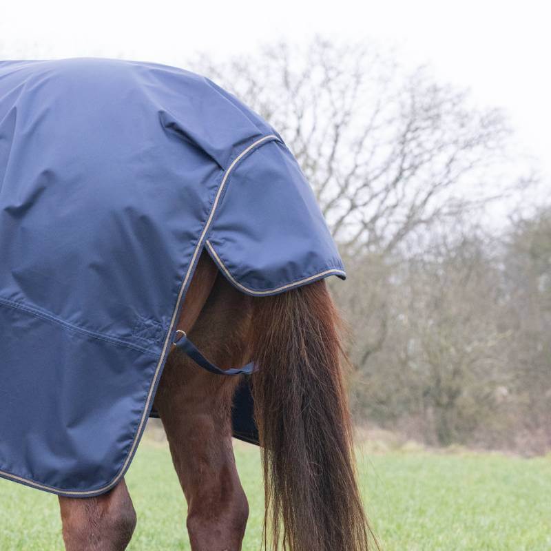 A horse in a Shires Typhoon Light Navy Turnout Rug stands on grass, facing away.