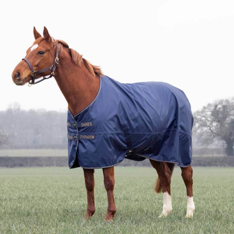 Chestnut horse in Shires Typhoon Light Turnout Rug Navy stands on grass in an open field.
