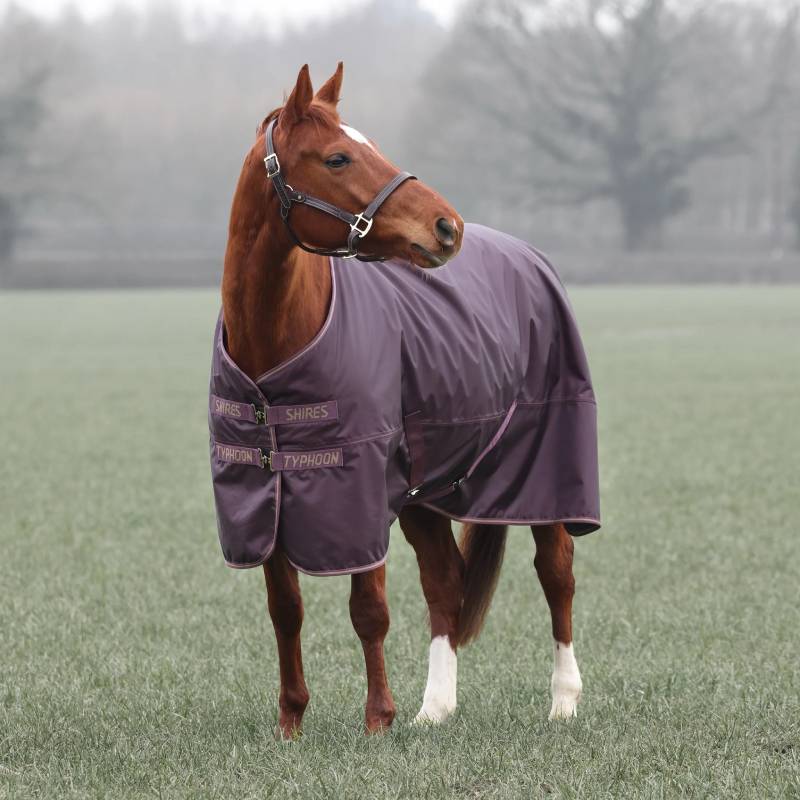 Shires Typhoon 100g Turnout Rug Standard Neck Black Cherry