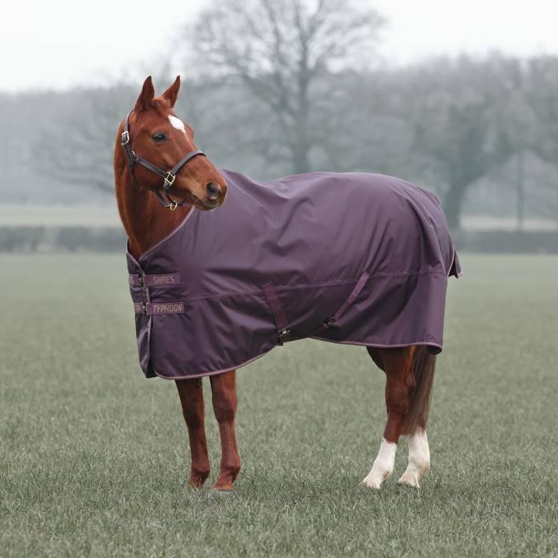 Shires Typhoon 100g Turnout Rug Standard Neck Black Cherry
