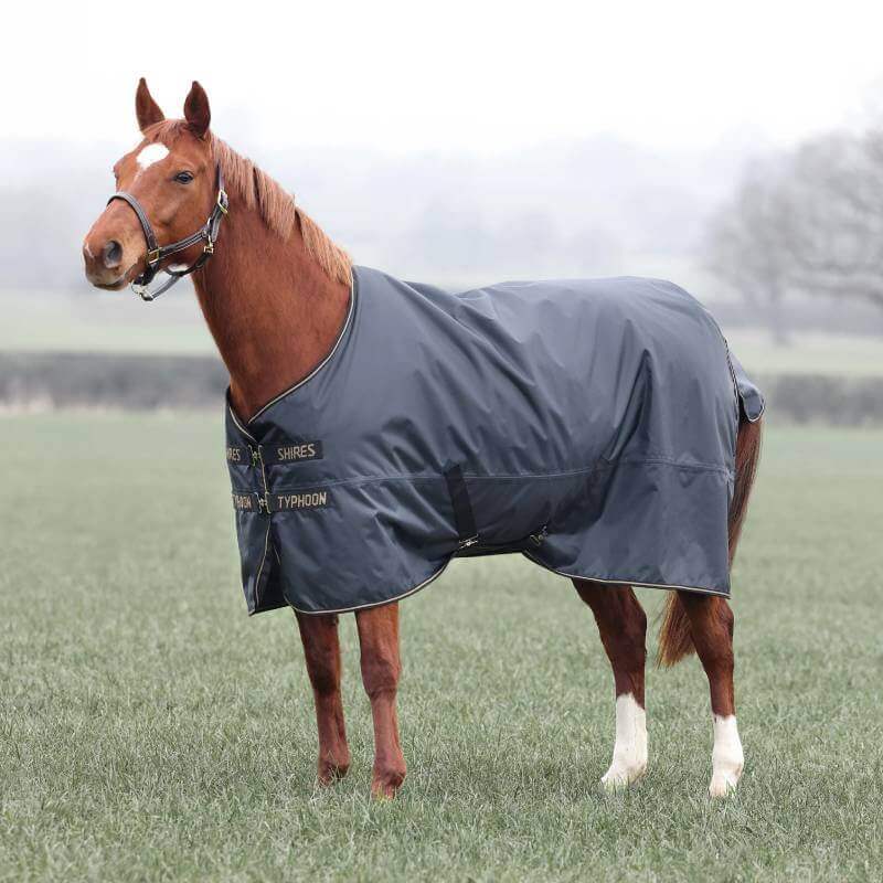 A chestnut horse wears the Shires Typhoon Lightweight Turnout Rug on grass in a foggy field.