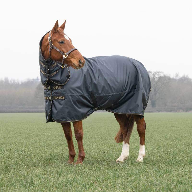 A horse in a Shires Typhoon Light Weight Turnout Rug Black stands on green grass.