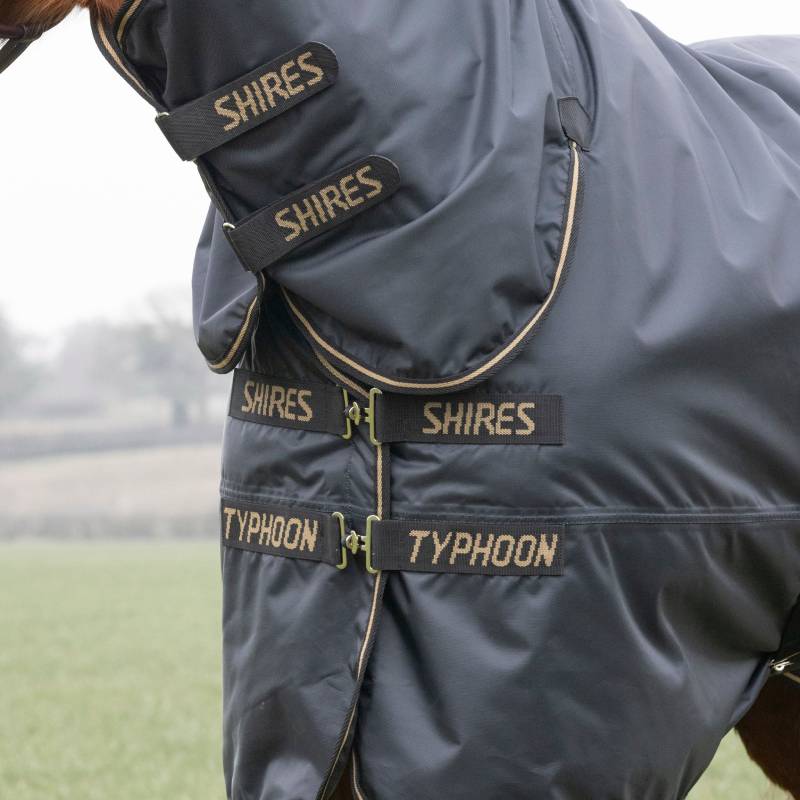 Horse in a Shires Typhoon Light Weight 50g Combo Neck Turnout Rug in black.