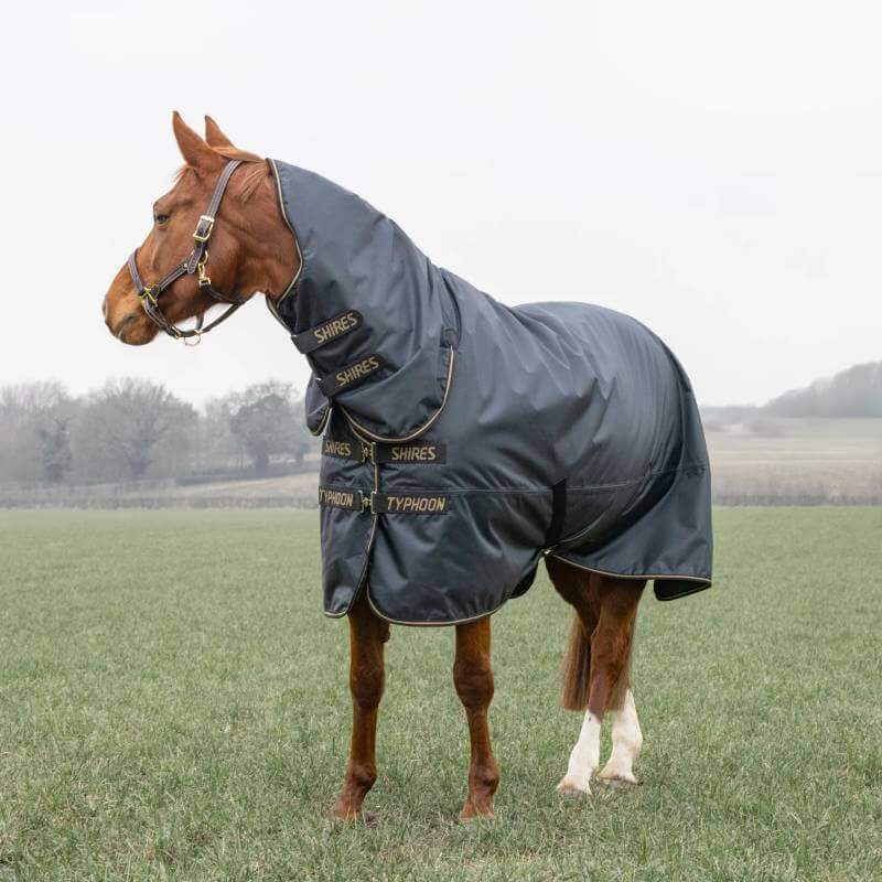 A horse wears the Shires Typhoon Light Weight Combo Turnout Rug in a grassy field.