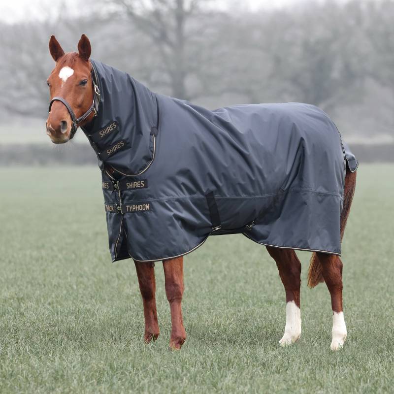 Chestnut horse in a Shires Typhoon 50g turnout rug, black, stands on grass in a field.