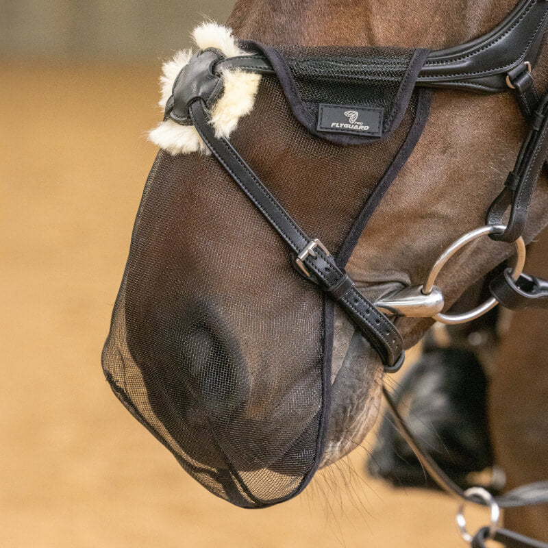 Close-up of a horse’s nose in a Shires FlyGuard Pro Grackle Bridle Nose Net Black.