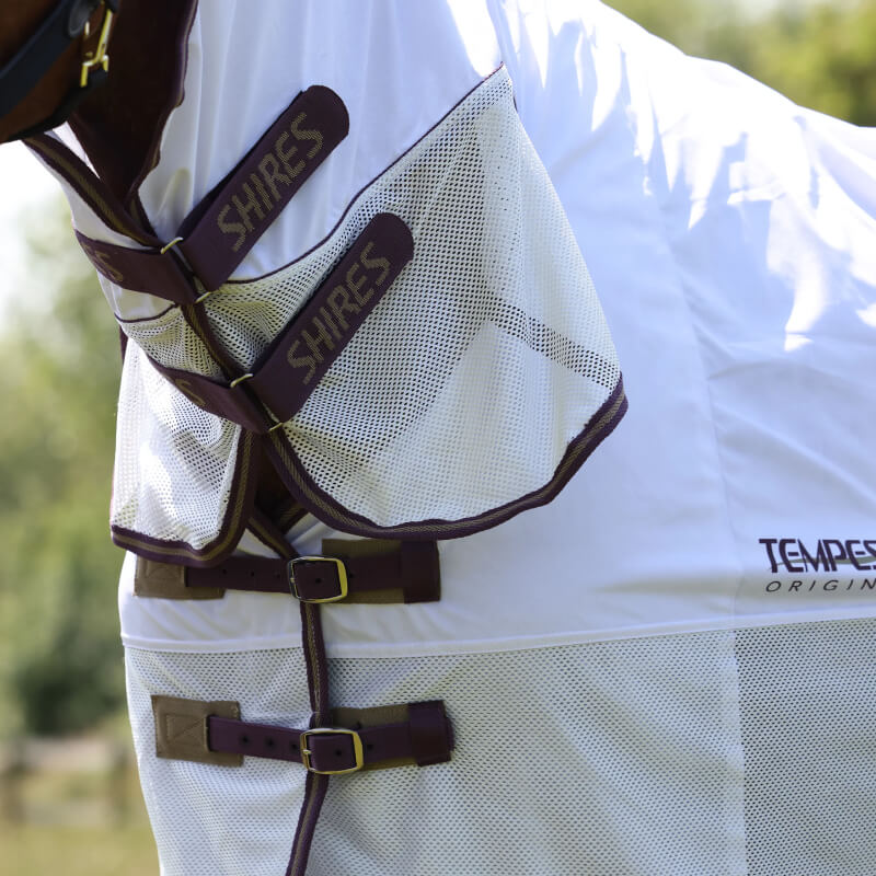 Close-up of a horse in the Shires Tempest Original Fly Mesh Combo Neck Fly Rug in white.