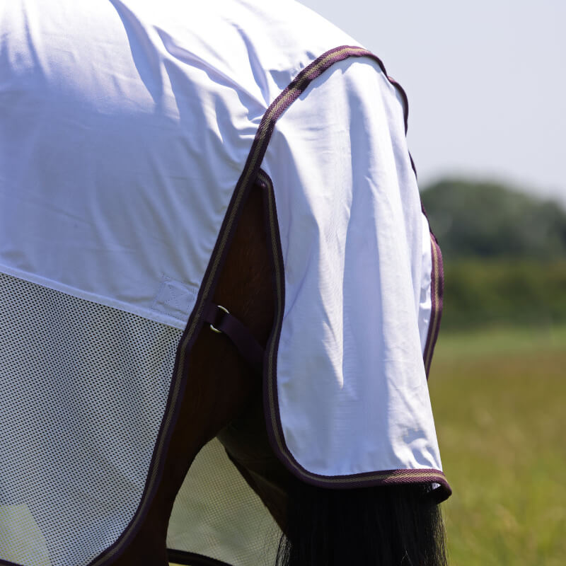A Shires Tempest Original Fly Mesh Combo Neck Fly Rug in white on a horse in a grassy field.