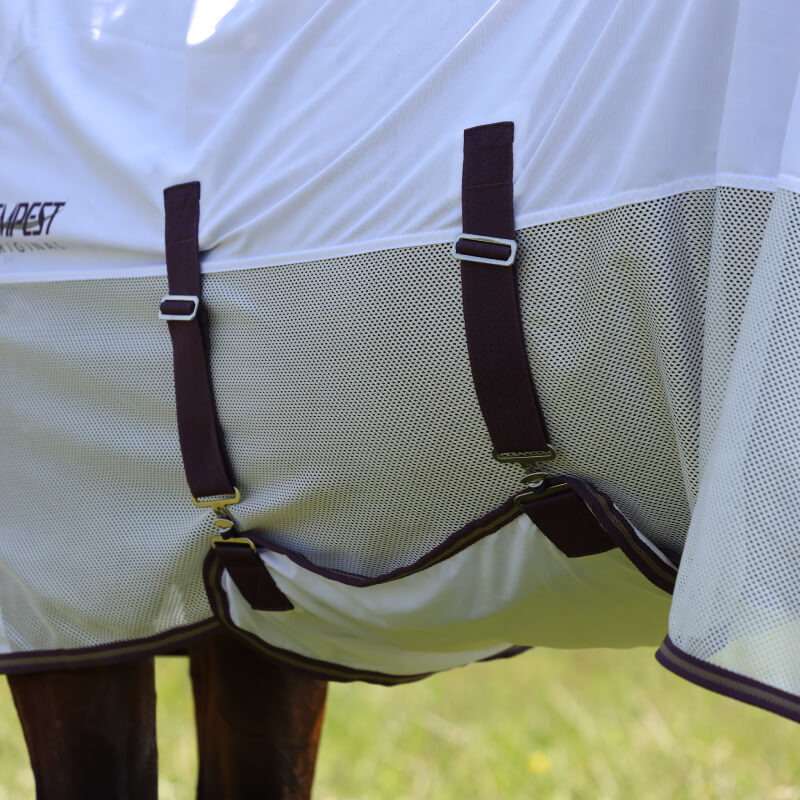 Close-up of a horse in the Shires Tempest Original Fly Mesh Combo Neck Fly Rug in white.