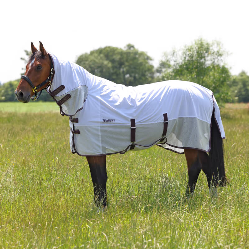 A horse wears the Shires Tempest Original Fly Mesh Combo Neck Fly Rug White in a grassy field.