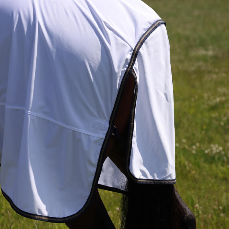 A Shires Tempest Original Fly Rug covers a horse grazing on green grass.