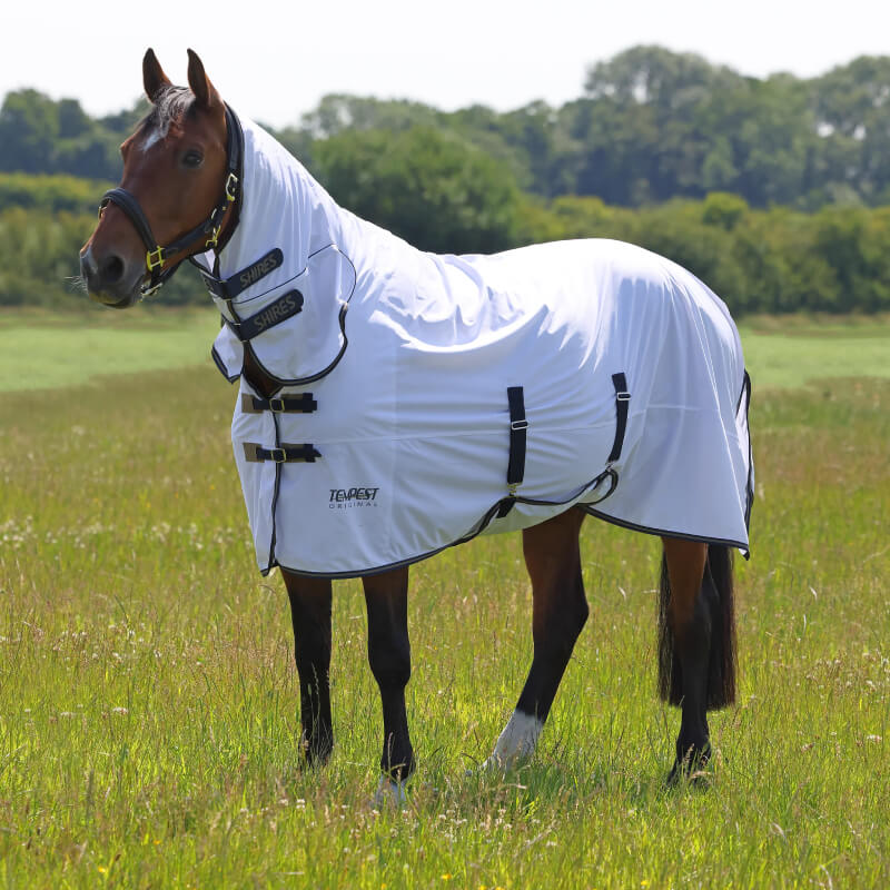 A horse in a Shires Tempest Original White/Navy Fly Rug stands in a grassy field.