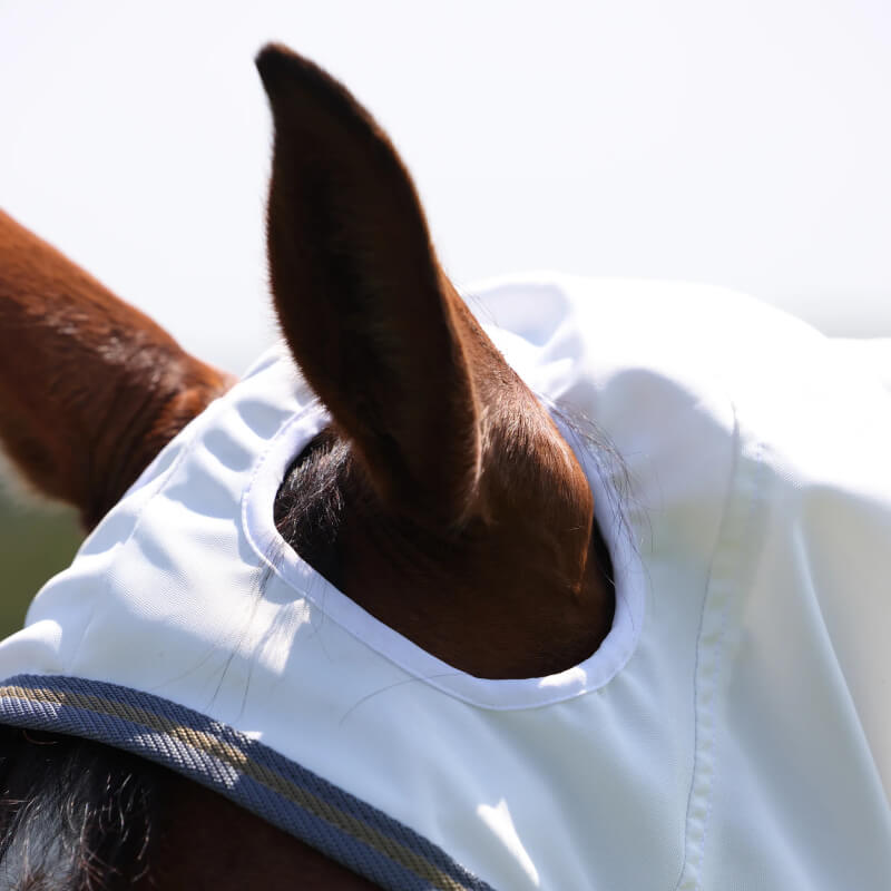 Close-up of a horse's ear in the Shires Highlander Plus Sweet-Itch Combo Neck Fly Rug.
