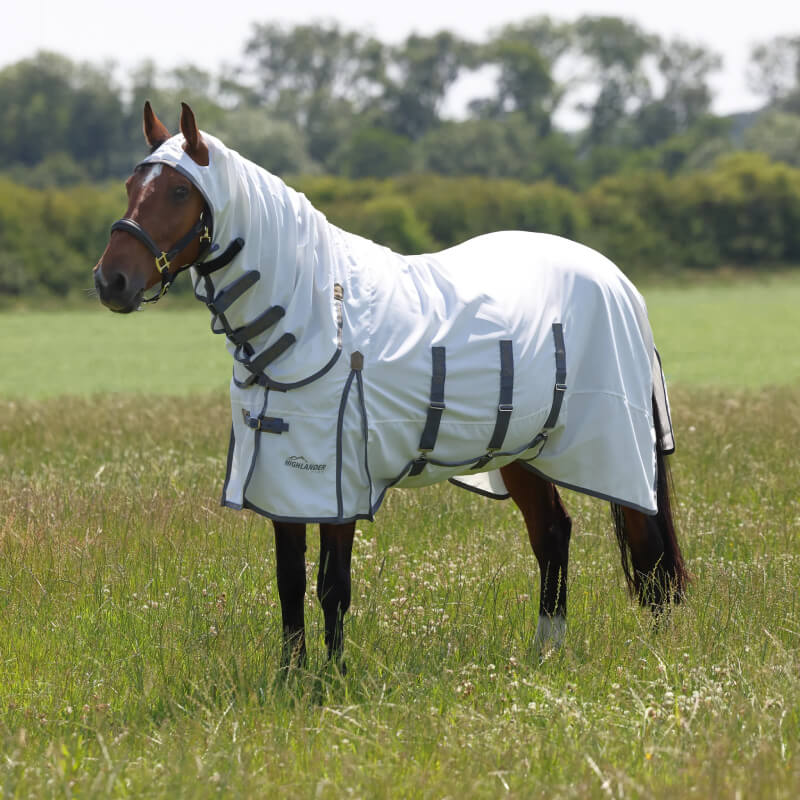 A horse in a field wears the Shires Highlander Plus Combo Fly Rug for UV protection.