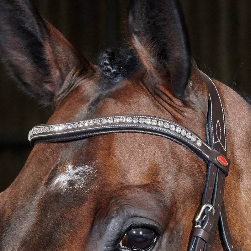 John Whitaker Chicago Anatomic Bridle-Pet n Pony-Whitaker