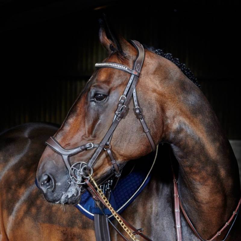 John Whitaker Chicago Anatomic Bridle-Pet n Pony-Whitaker