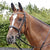 John Whitaker Lynton Snaffle Bridle