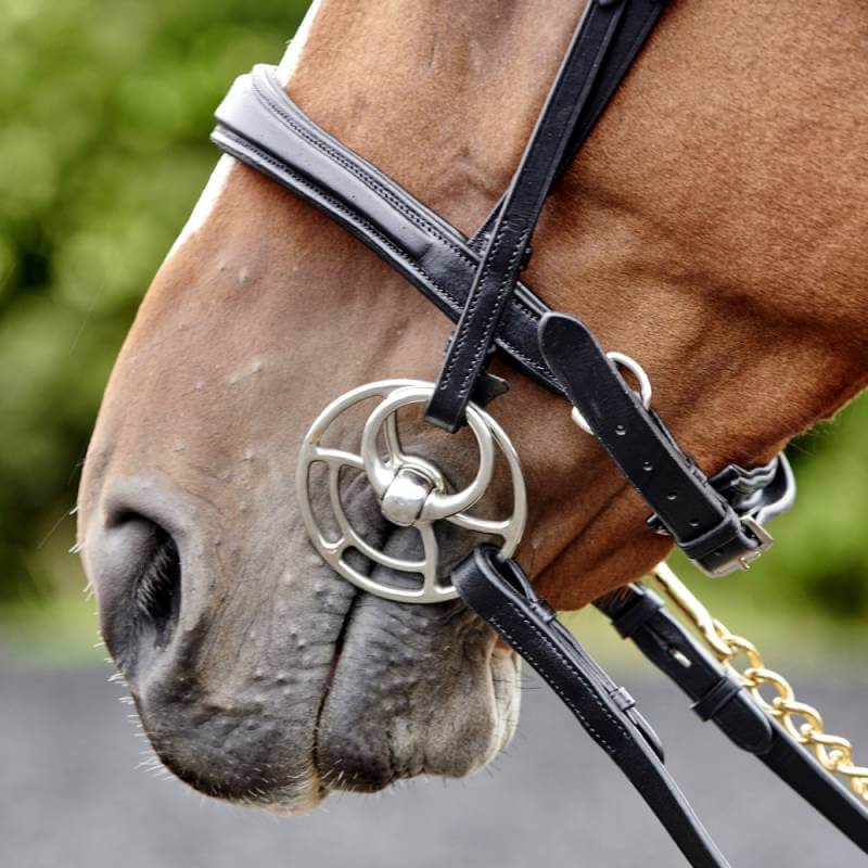 Close-up of a horse wearing the Whitaker John Whitaker Lynton Snaffle Bridle.