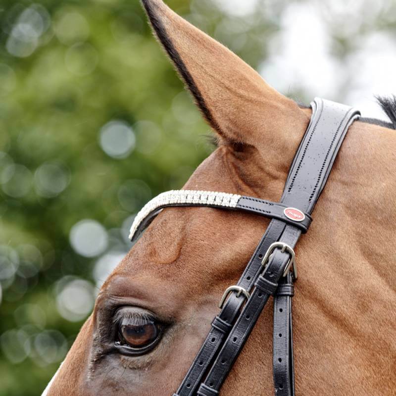 Whitaker John Whitaker Lynton Snaffle Bridle shown on a horse, blurred trees in background.